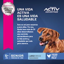 EUKANUBA SENIOR LARGE BREED