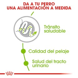 ROYAL CANIN X-SMALL ADULT