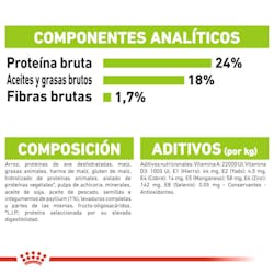 ROYAL CANIN X-SMALL ADULT
