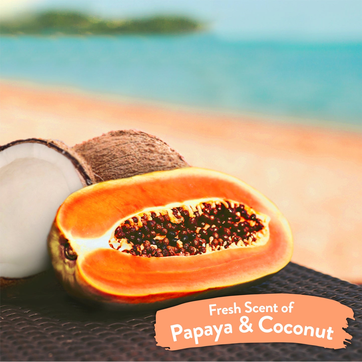 TOALLITAS HÚMEDAS PARA MASCOTAS PAPAYA & COCONUT LUXURY 2 EN 1