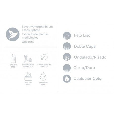 PSH SENIOR CARE SHAMPOO