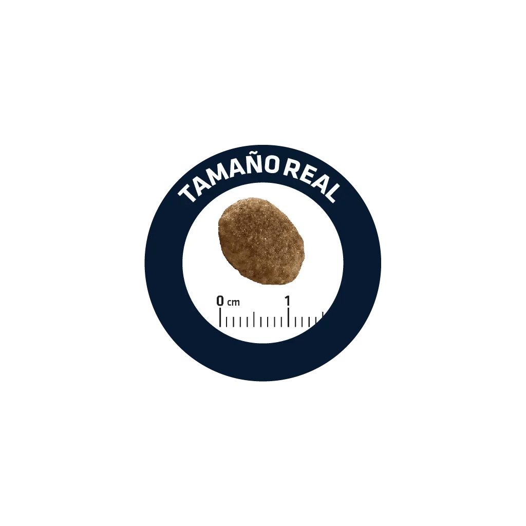 ADVANCE VETERINARY DIETS CAT URINARY STRESS