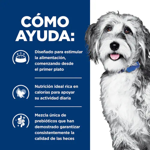 HILL´S PD ONC CARE CANINO