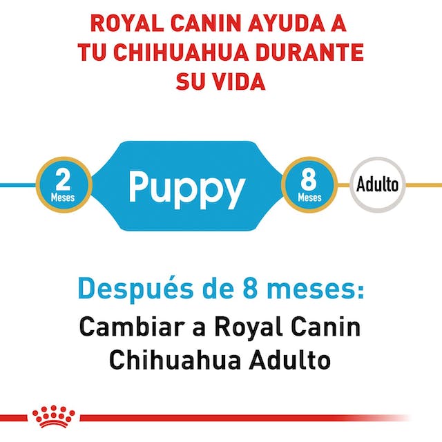 ROYAL CANIN  CHIHUAHUA PUPPY