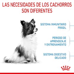 ROYAL CANIN PUPPY - X-SMALL
