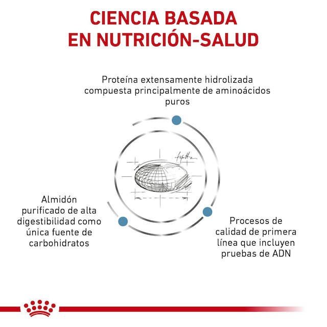 ROYAL CANIN  ANALLERGENIC