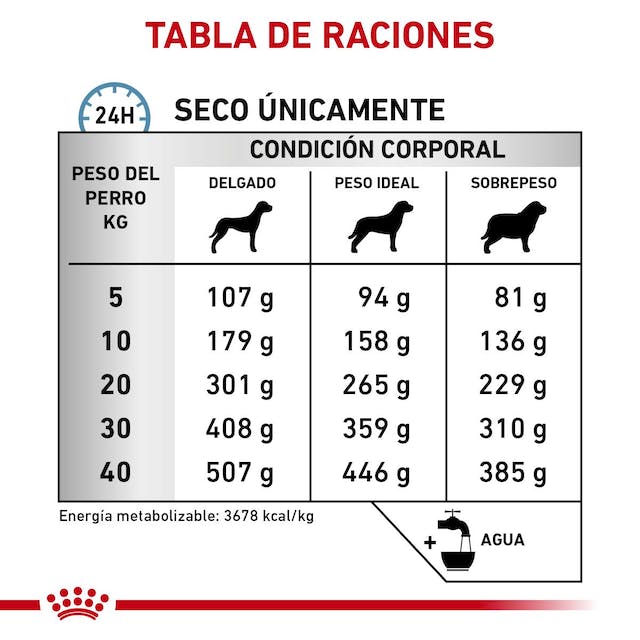 ROYAL CANIN  ANALLERGENIC