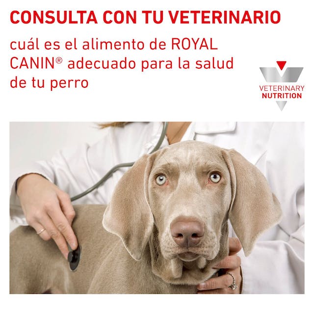 ROYAL CANIN  ANALLERGENIC