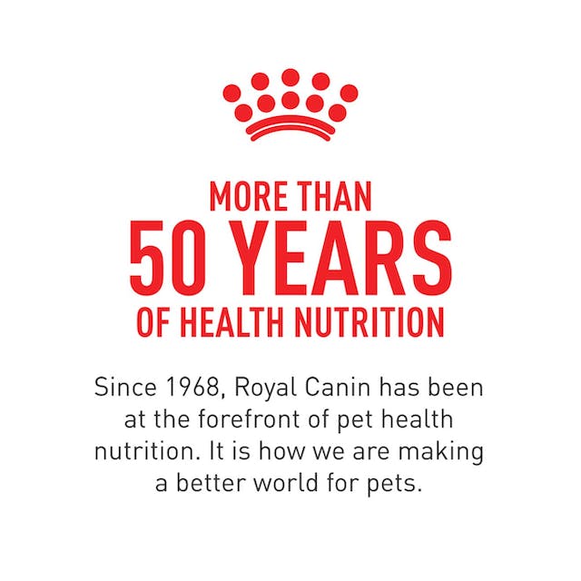 ROYAL CANIN BEAGLE ADULT