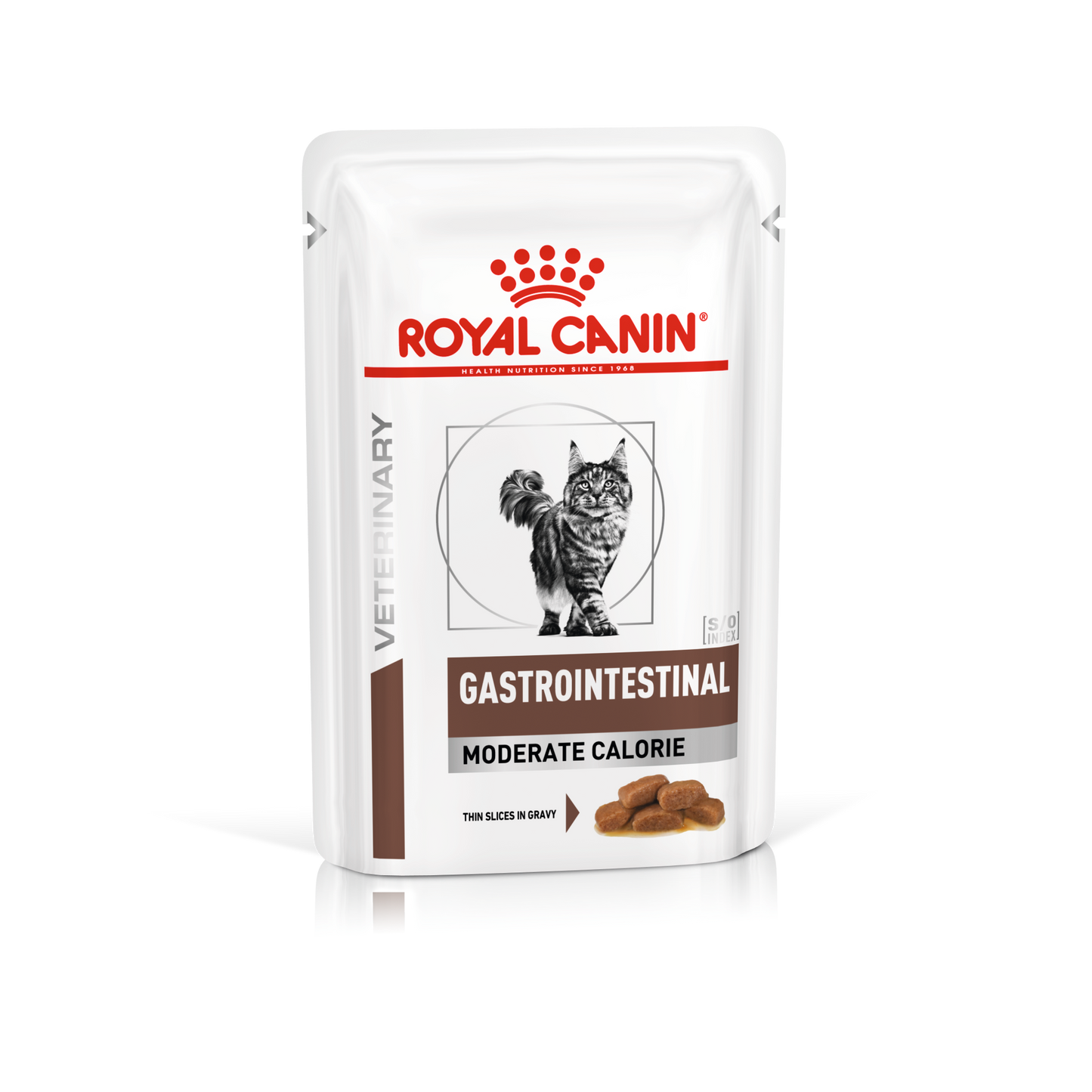 ROYAL CANIN GASTROINTESTINAL Salsa