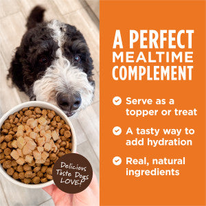 INSTINCT HEALTHY CRAVINGS BEEF FOR DOGS POUCHES