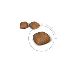 Royal Canin Urinary S/O