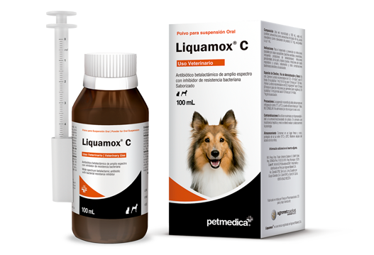 LIQUAMOX C Antibiótico betalactámico de amplio espectro con inhibidor de resistencia bacteriana