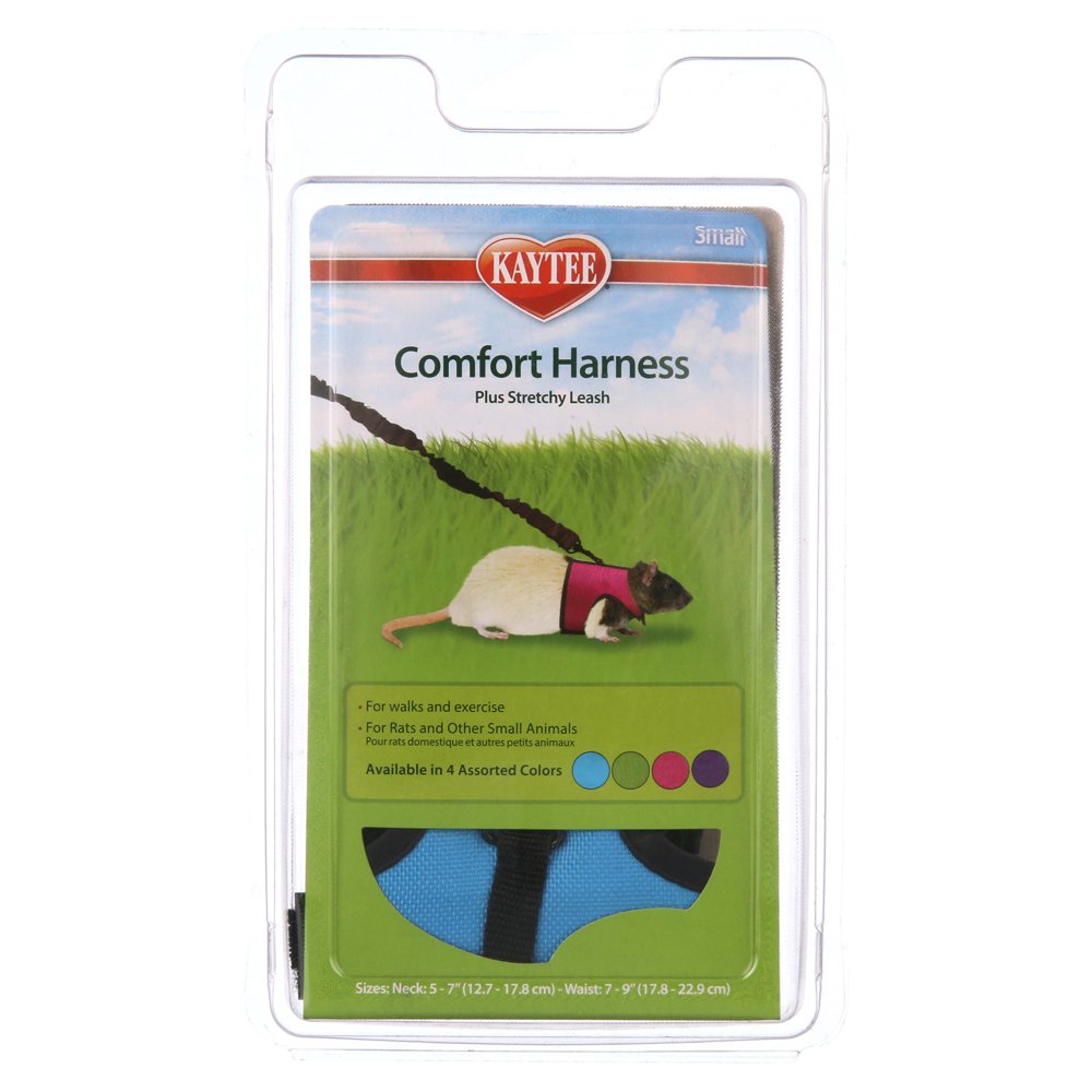 COMFORT HARNESS & STRETCHY LEASH – ARNÉS Y CORREA ELÁSTICA