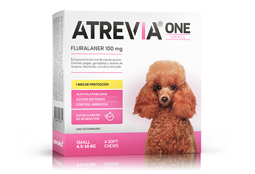 Atrevia One Small