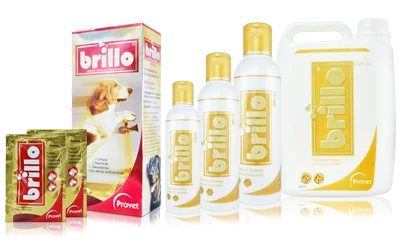 BRILLO Shampoo