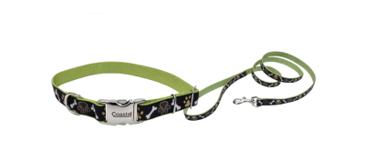 COLLAR Y TIRAPERRO RIBBON SPECTRA 5/8” – VERDE CON NEGRO