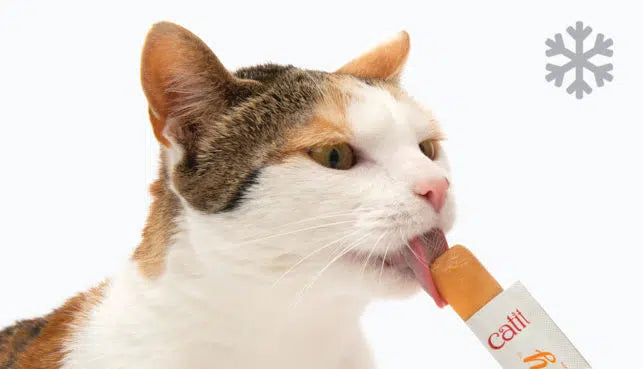 ALIMENTO GATO CATIT CREAMY POLLO 4 TUBOS 10 GRS CADA UNO
