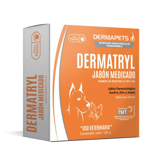 DERMATRYL MEDICADO JABÓN 100 GRS