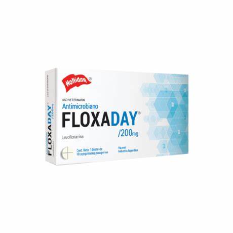 FLOXADAY COMPRIMIDOS 200 MG (Antibiótico)