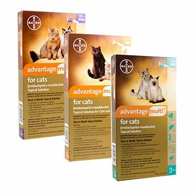 ADVANTAGE MULTI GATO 0.4 ML HASTA 4 KG (1 Pipeta)