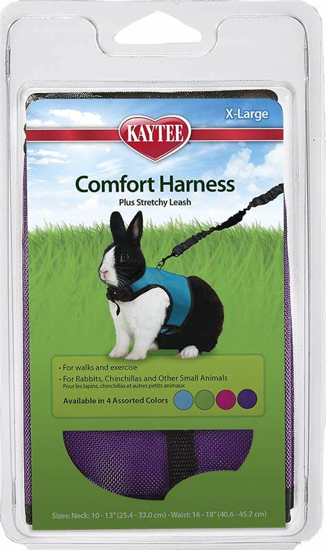 COMFORT HARNESS & STRETCHY LEASH – ARNÉS Y CORREA ELÁSTICA