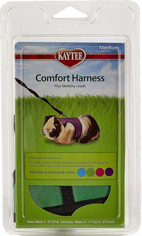 COMFORT HARNESS & STRETCHY LEASH – ARNÉS Y CORREA ELÁSTICA