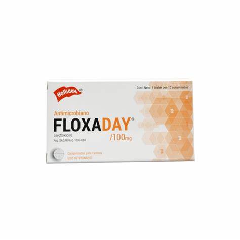 FLOXADAY COMPRIMIDOS 100 MG (Antibiótico)