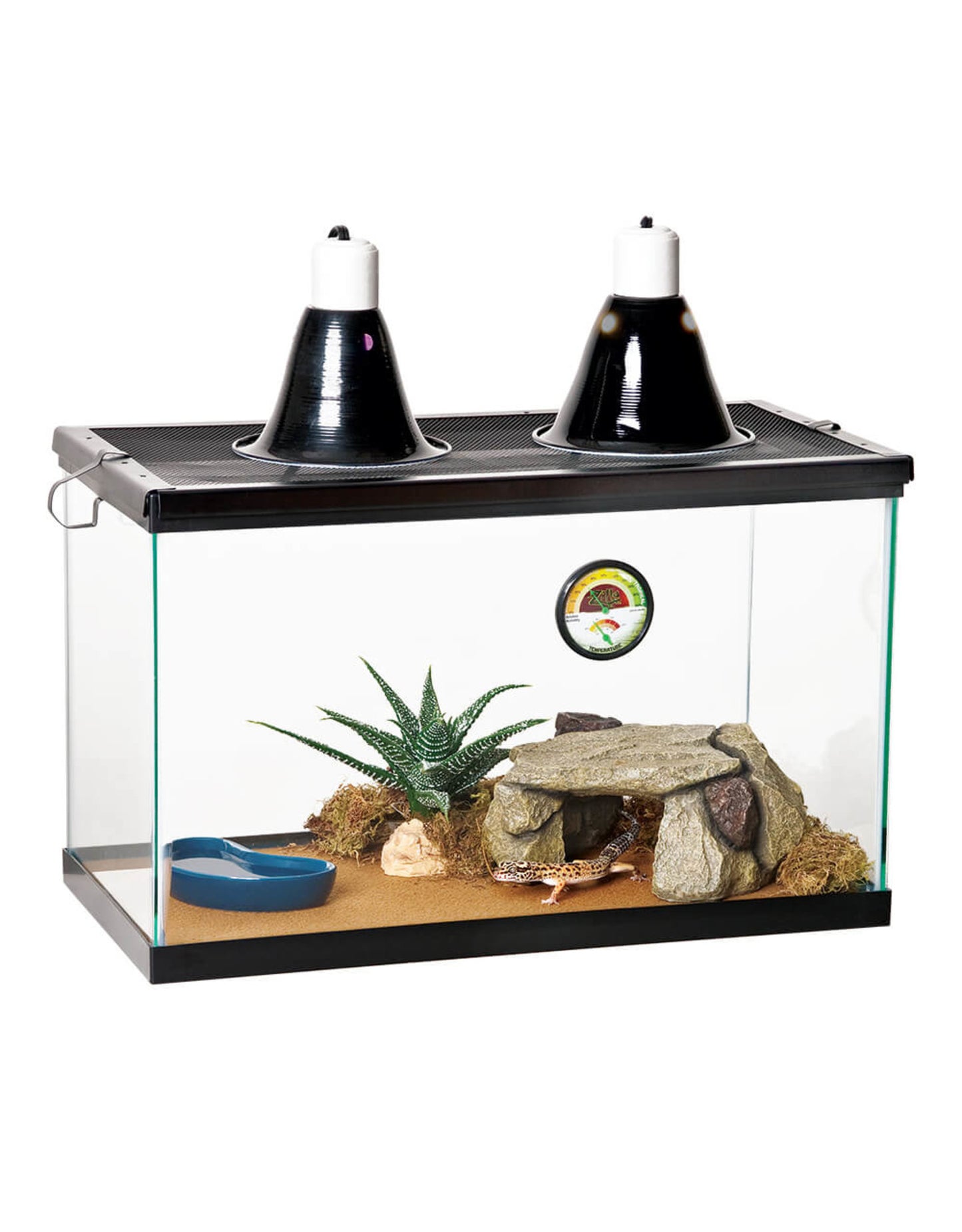 TERRARIUM LINERS - ZILLA