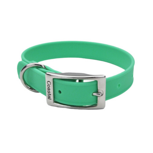 COLLAR WATERPROOF COASTAL CON HEBILLA AQUA
