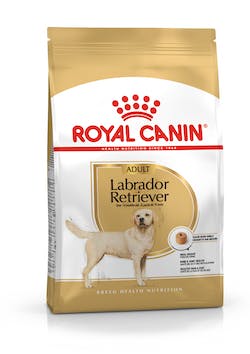 ROYAL CANIN LABRADOR ADULTO
