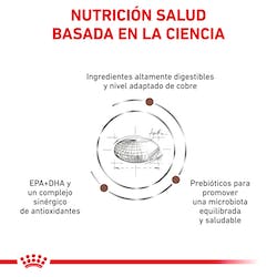 ROYAL CANIN F HEPATIC 2K
