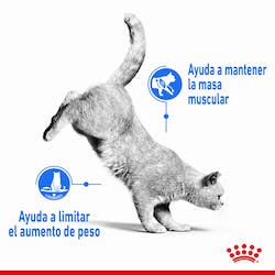 ROYAL CANIN WET ULTRA LIGHT 85G