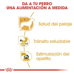 ROYAL CANIN BHN WET CHIHUAHUA ADULT 85G