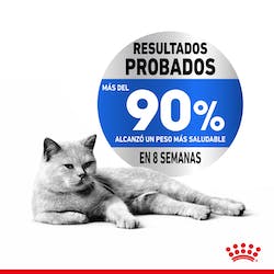 ROYAL CANIN WET ULTRA LIGHT 85G