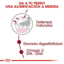ROYAL CANIN MEDIUM ADULT