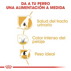 ROYAL CANIN SCHNAUZER ADULTO