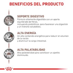 ROYAL CANIN® Gastrointestinal Feline