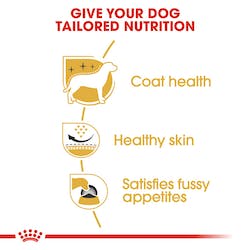 ROYAL CANIN  WESTIE ADULTO