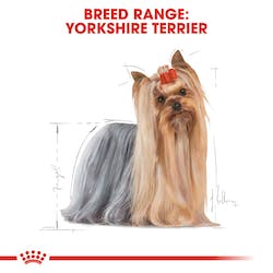 ROYAL CANIN BHN WET YORSHIRE ADULT 85G