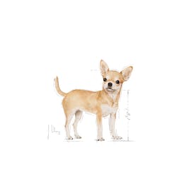 ROYAL CANIN BHN WET CHIHUAHUA ADULT 85G