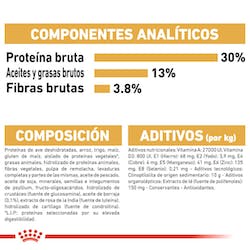 ROYAL CANIN LABRADOR ADULTO