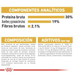 ROYAL CANIN POODLE ADULTO