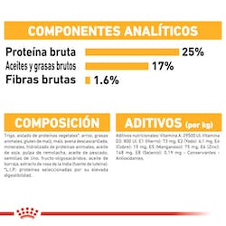 ROYAL CANIN MAXI DERMACOMFORT