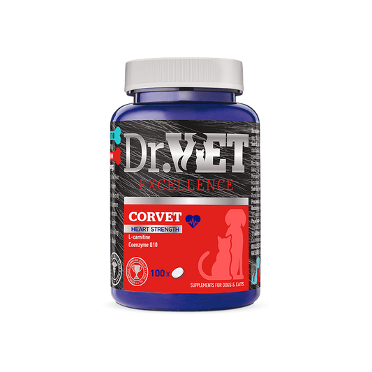 DR VET CORVET