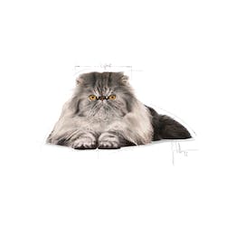ROYAL CANIN  PERSIAN 2K