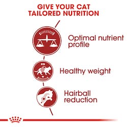 ROYAL CANIN FHN FIT 32 2KG