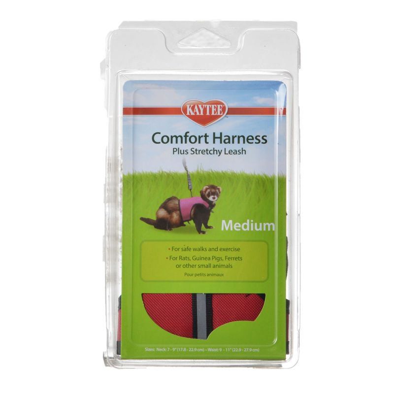 COMFORT HARNESS & STRETCHY LEASH – ARNÉS Y CORREA ELÁSTICA