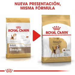 Royal Canin Beagle 3kg