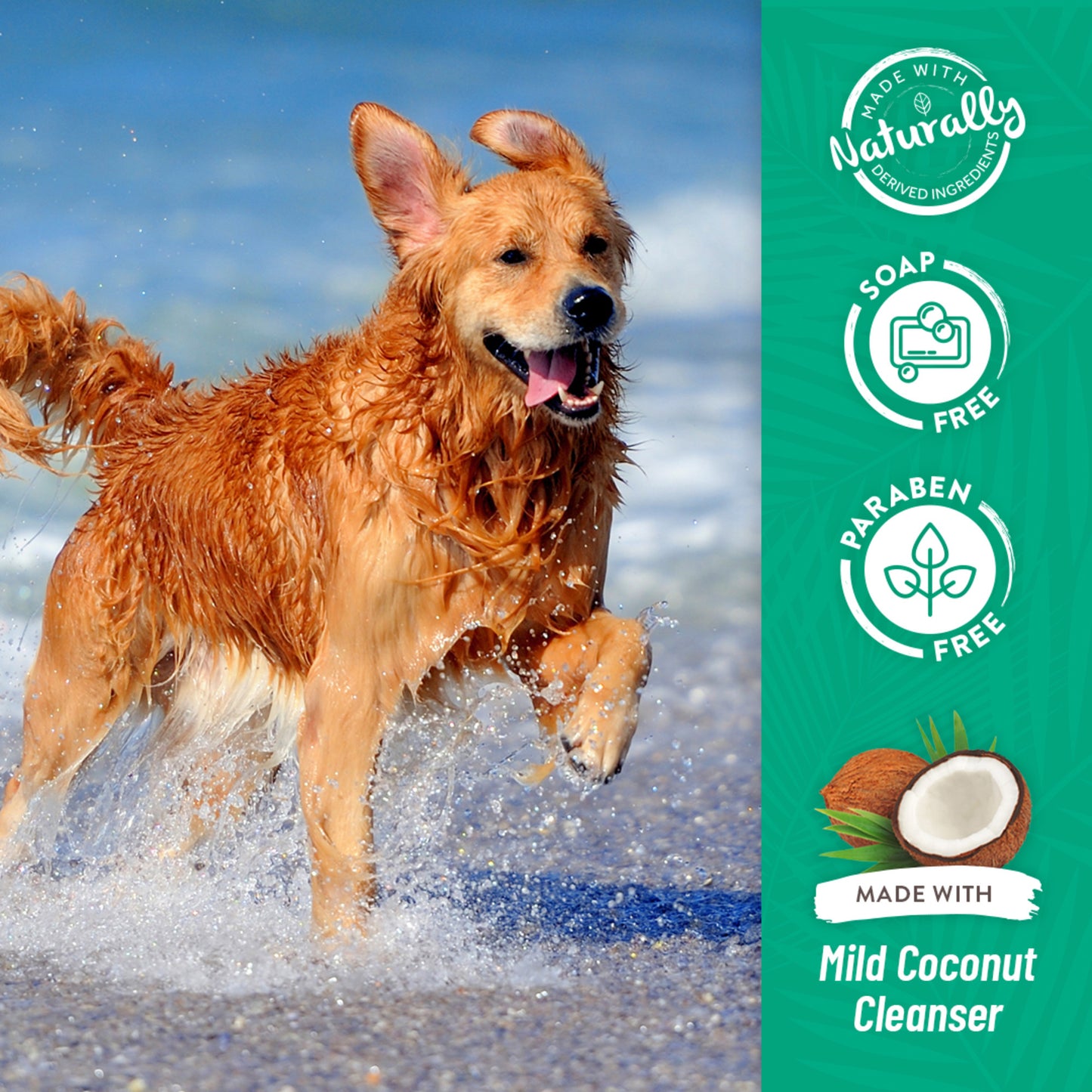 TROPICLEAN SHAMPOO & CONDITIONER PAPAYA & COCONUT LUXURY 2IN1